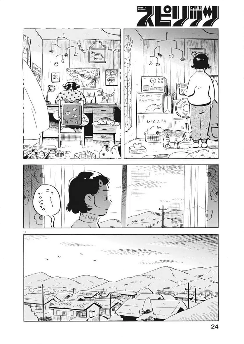 Page 14