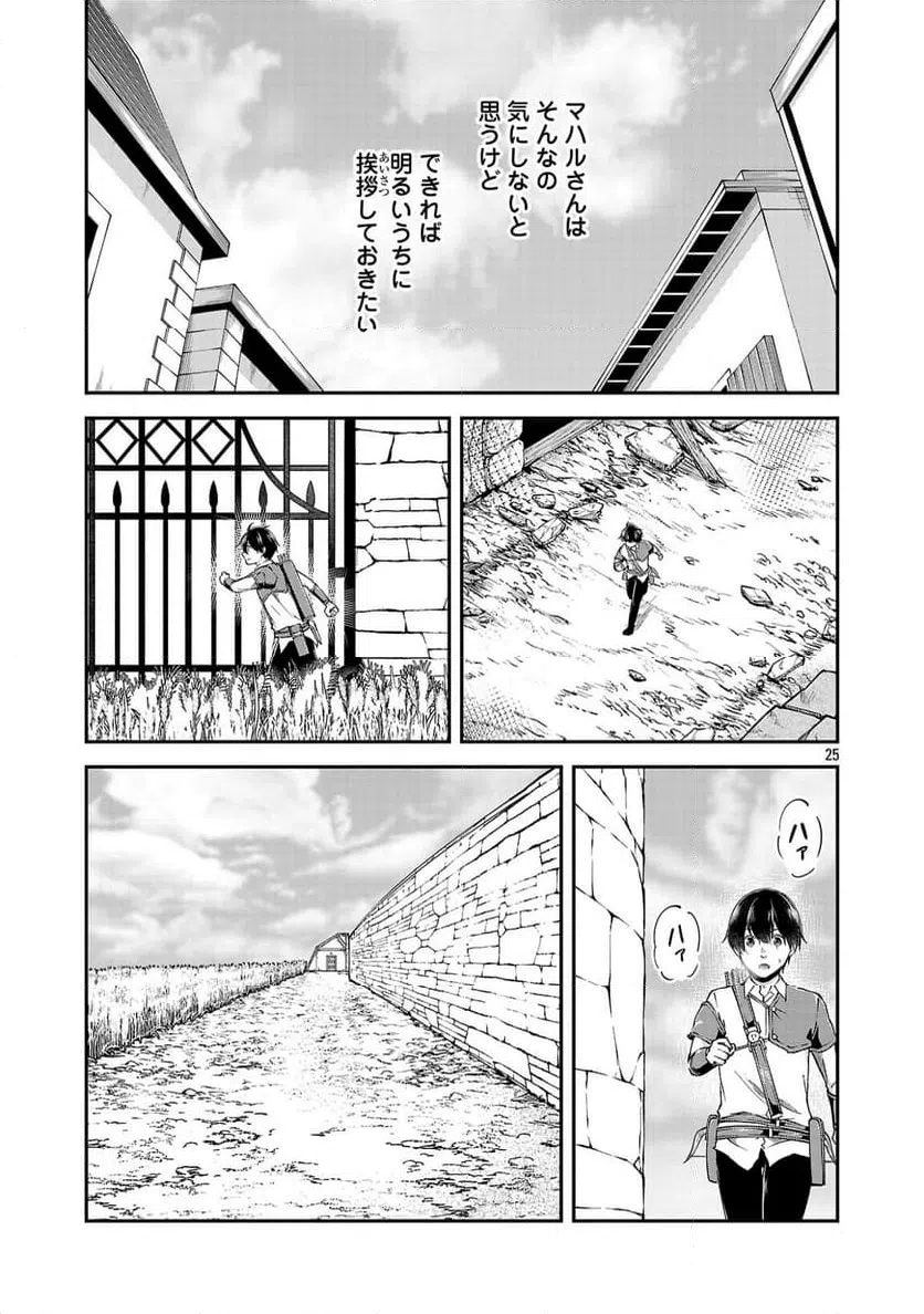 Page 25