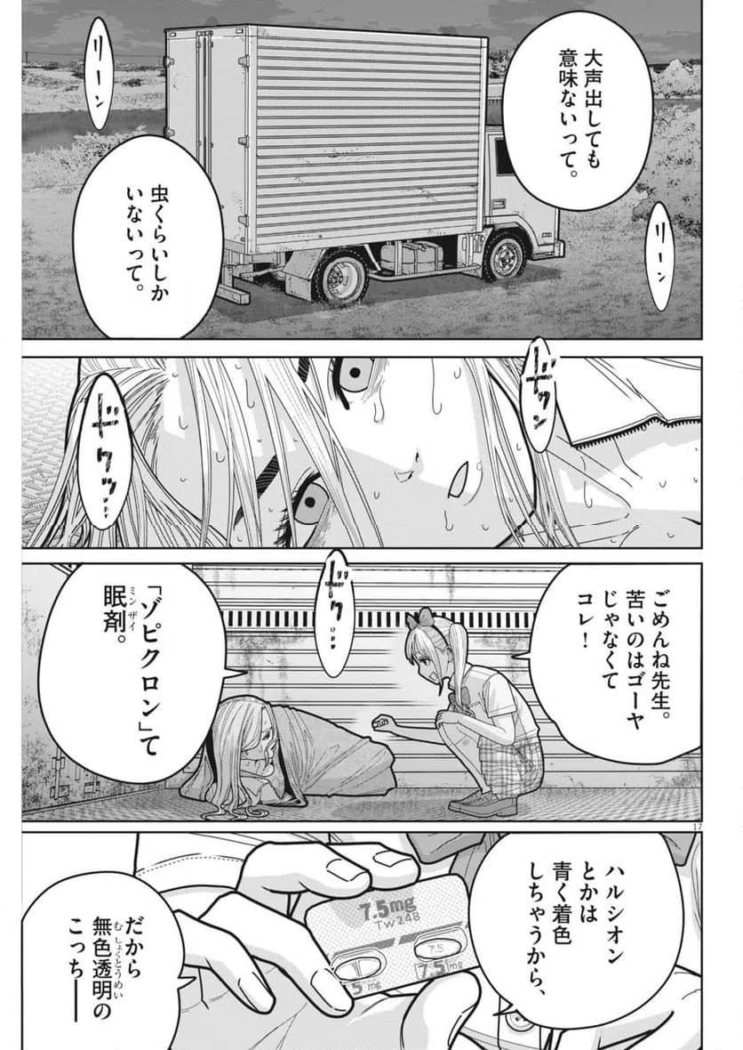 Page 17
