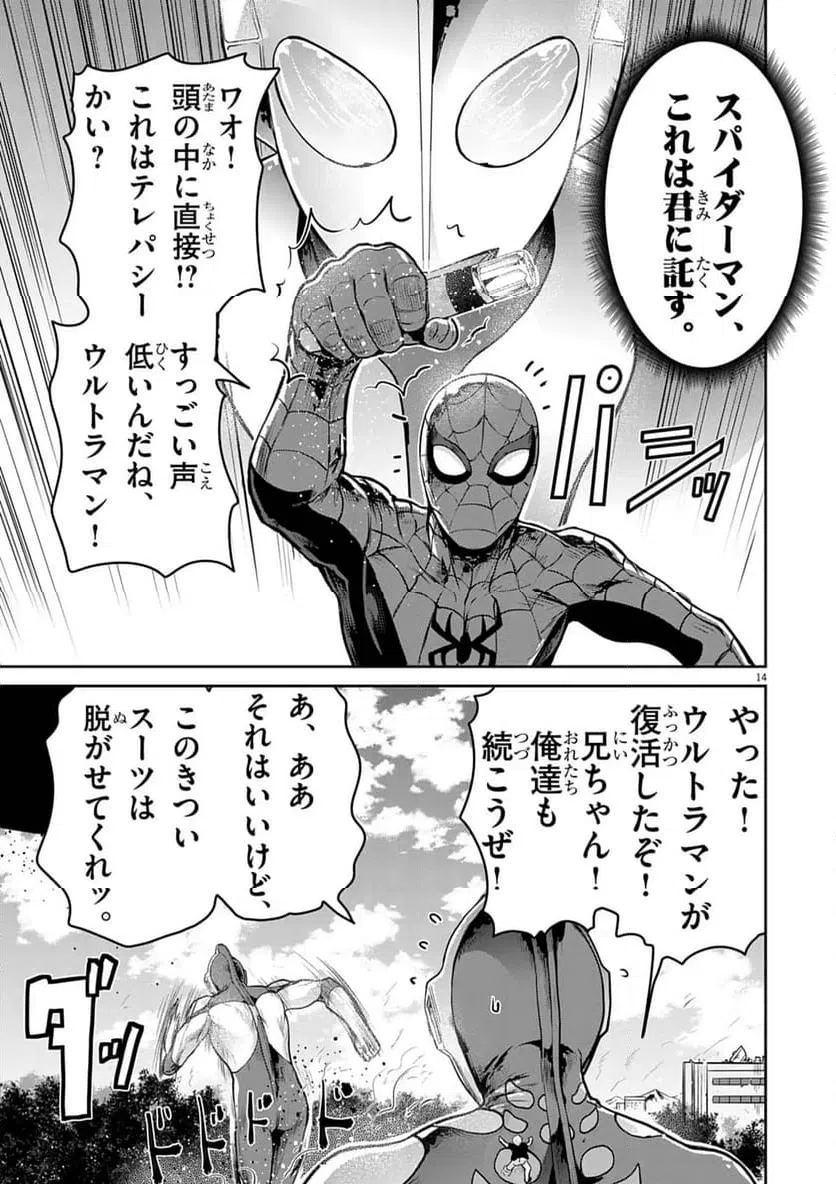 Page 14