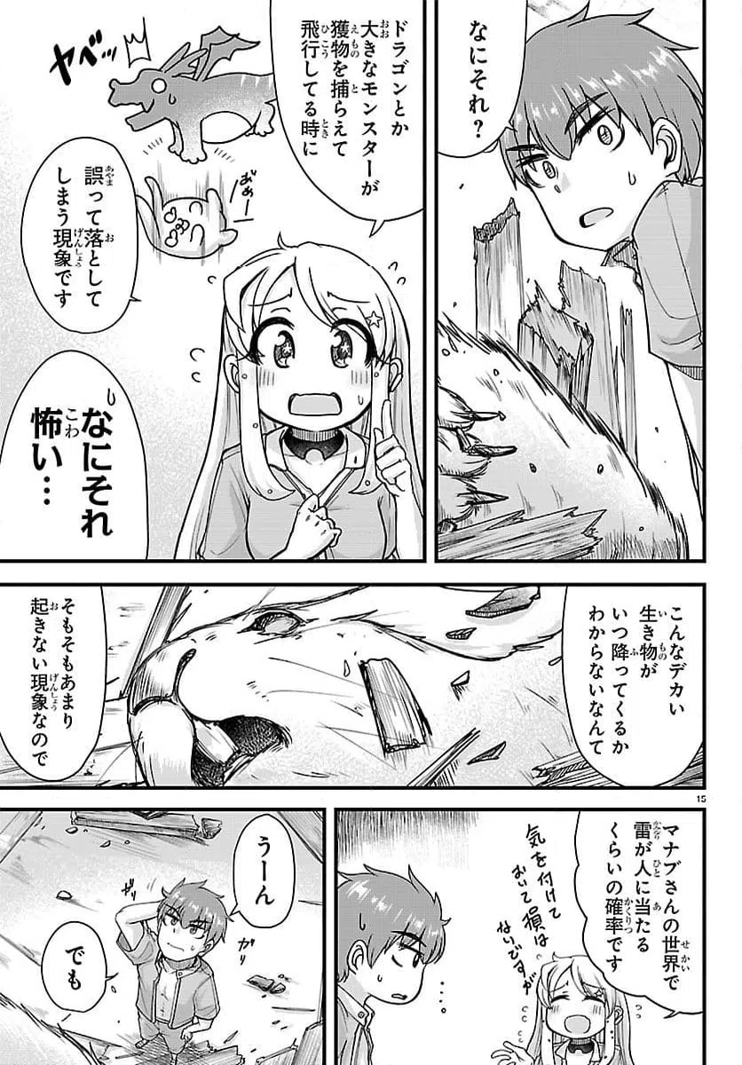 Page 15