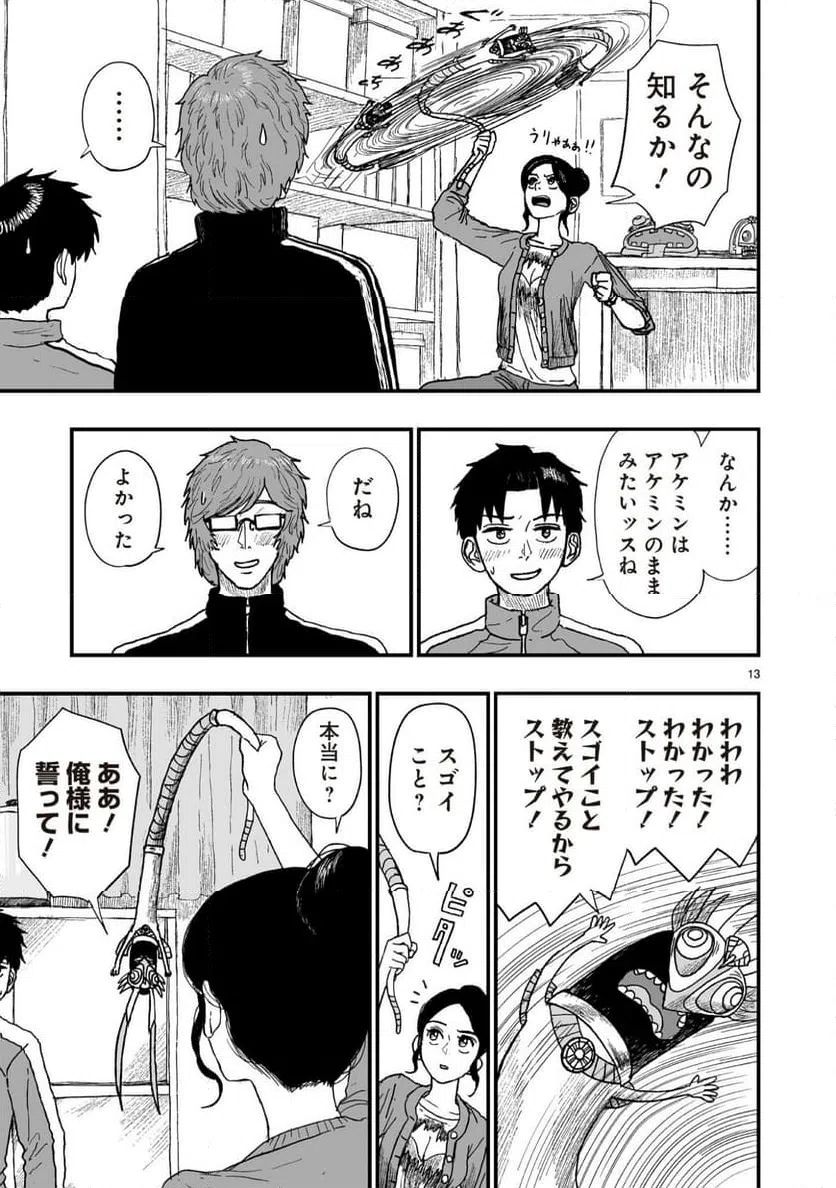 Page 13