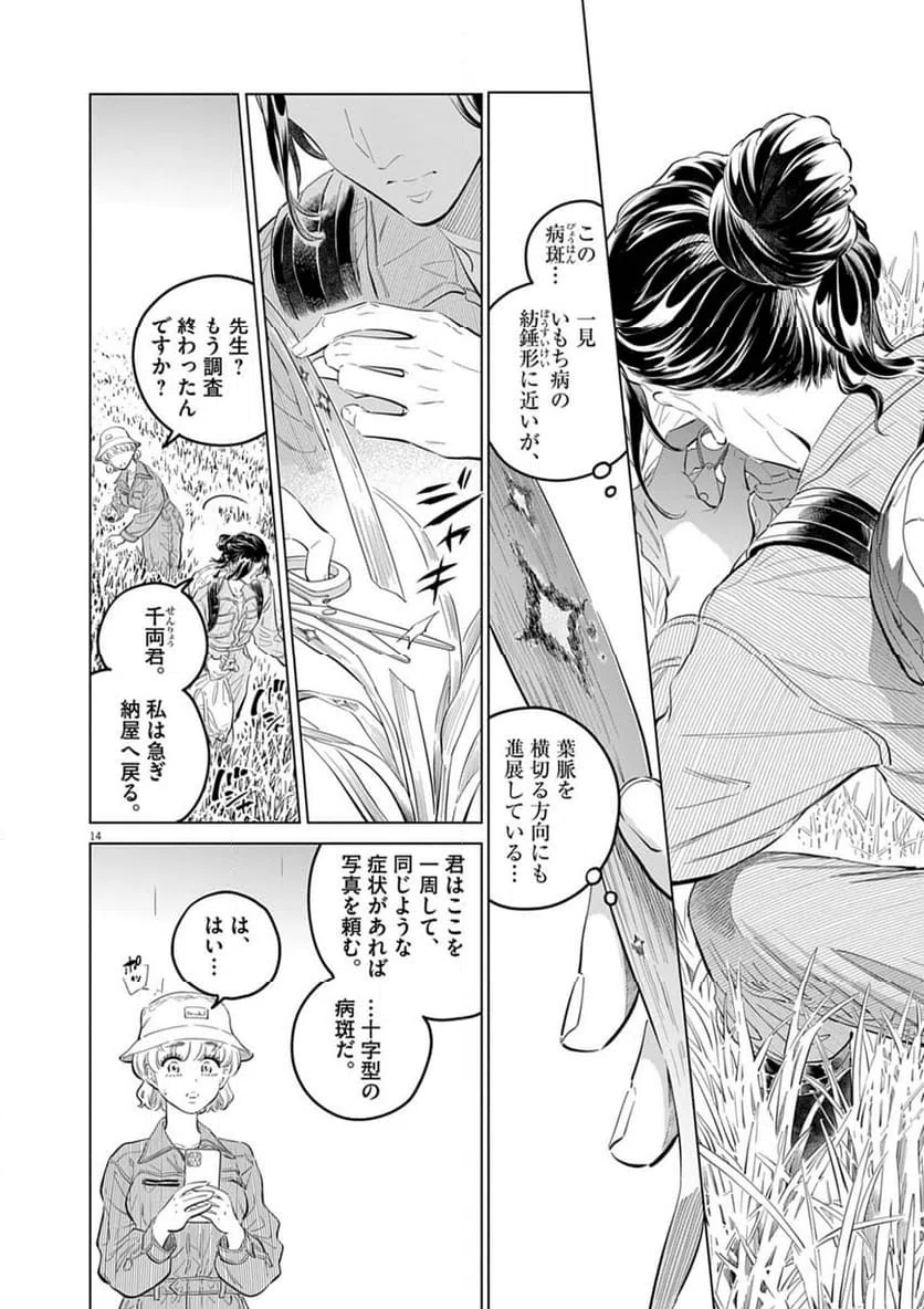 Page 14
