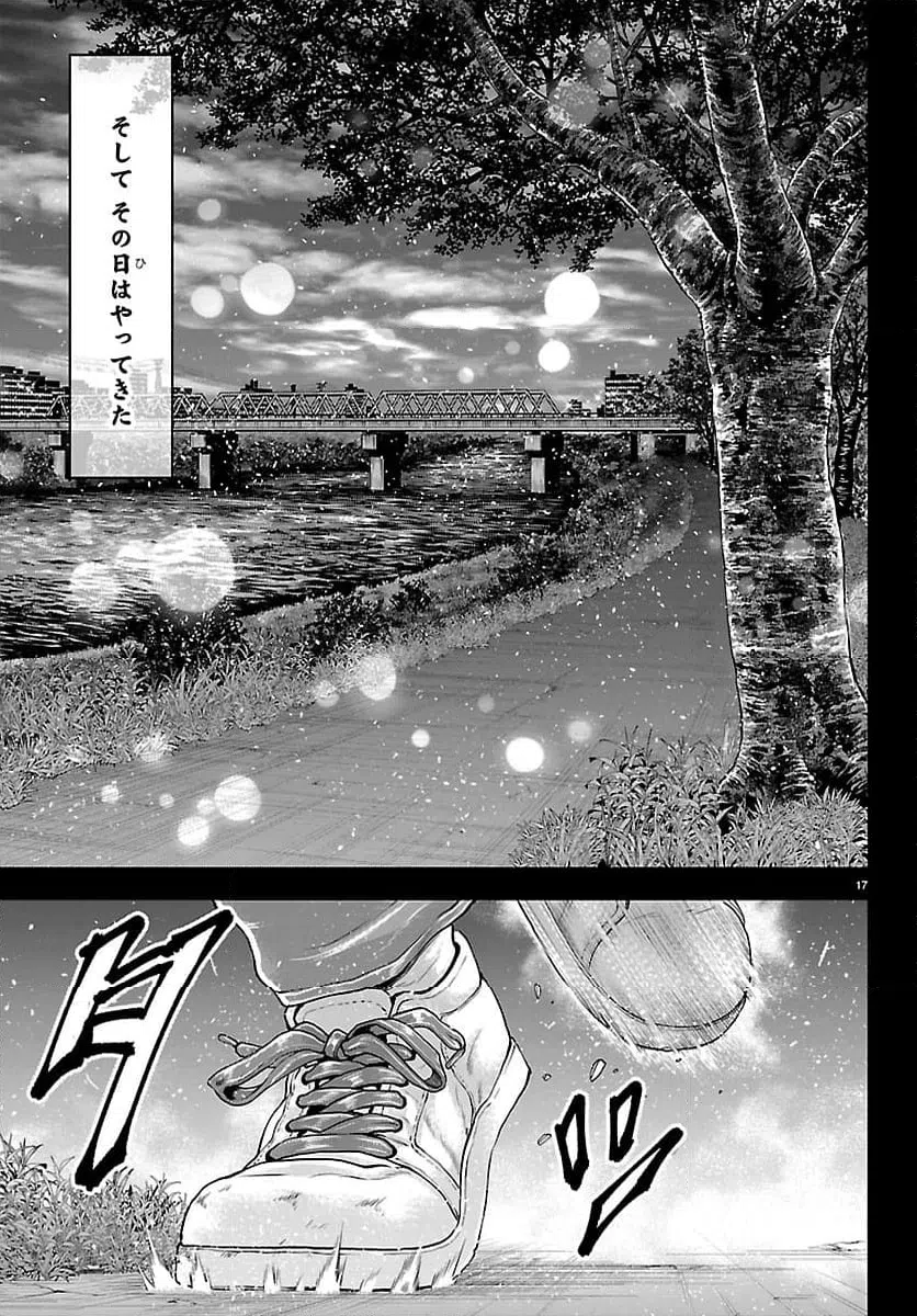 Page 17