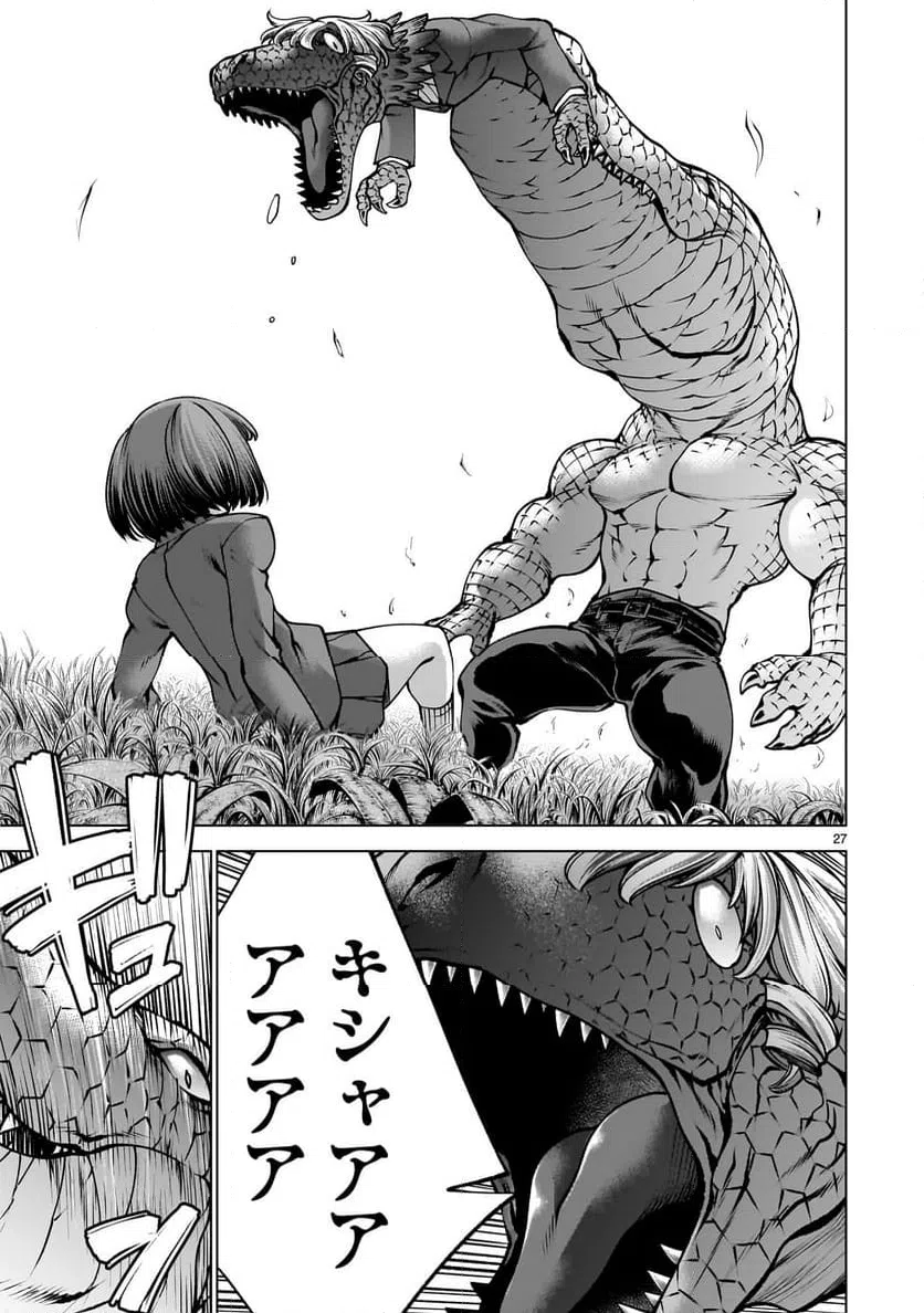 Page 27