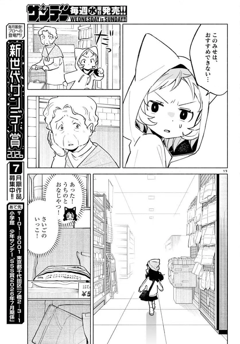 Page 13