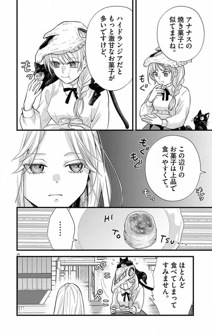 Page 14