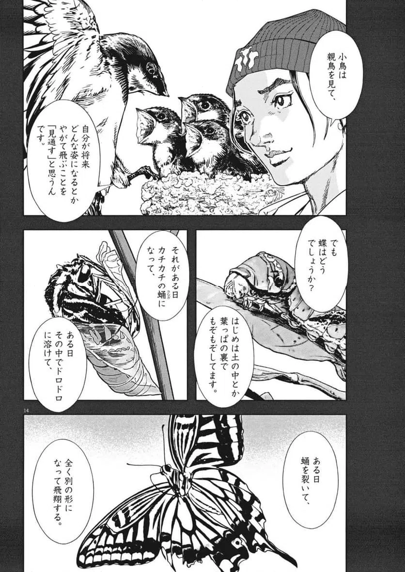 Page 14