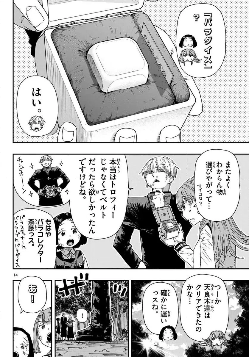 Page 14