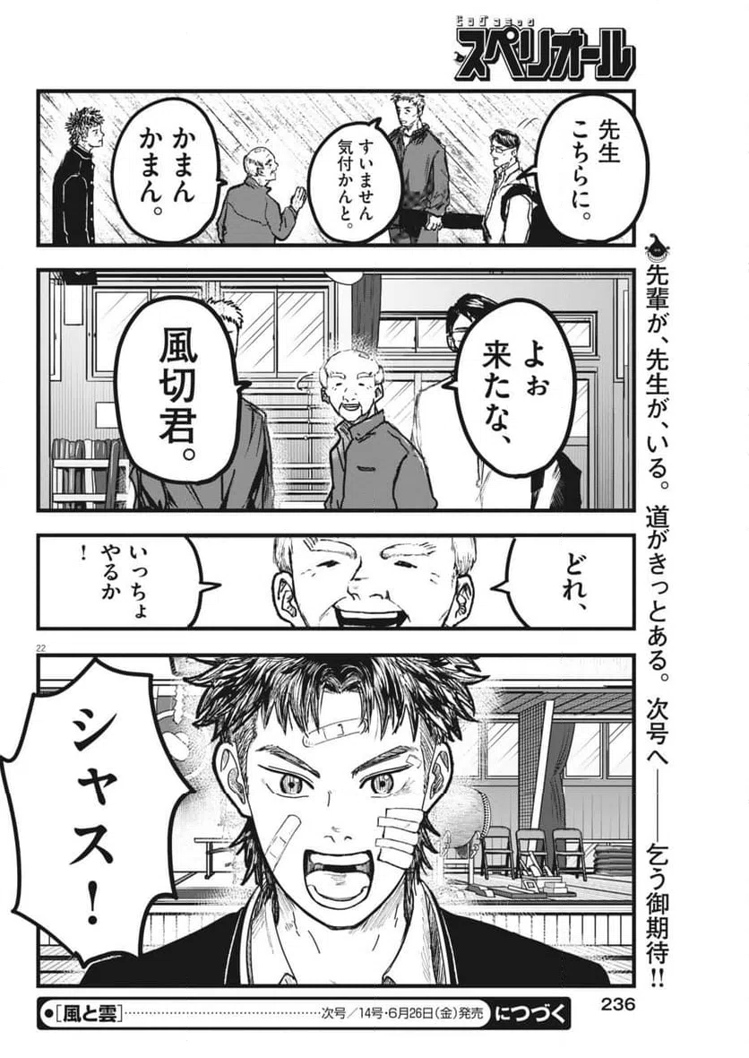 Page 22