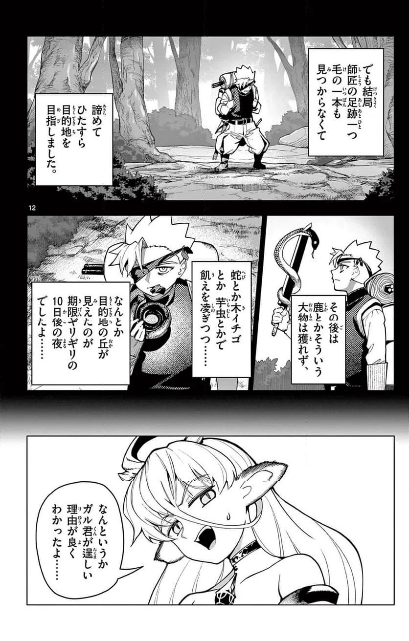 Page 12