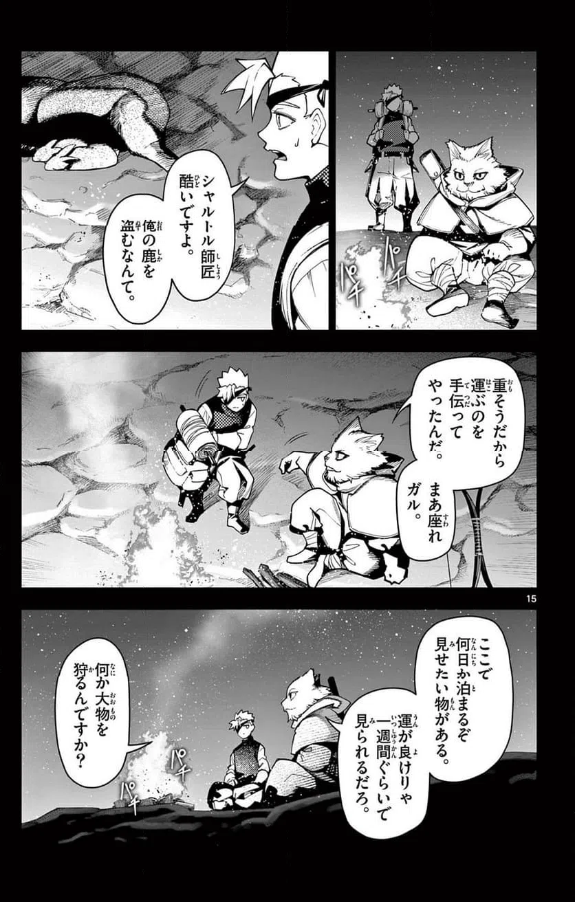 Page 15