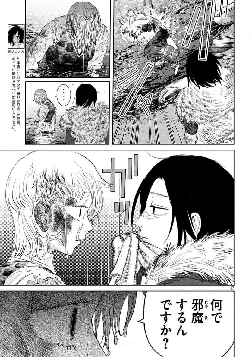 Page 17