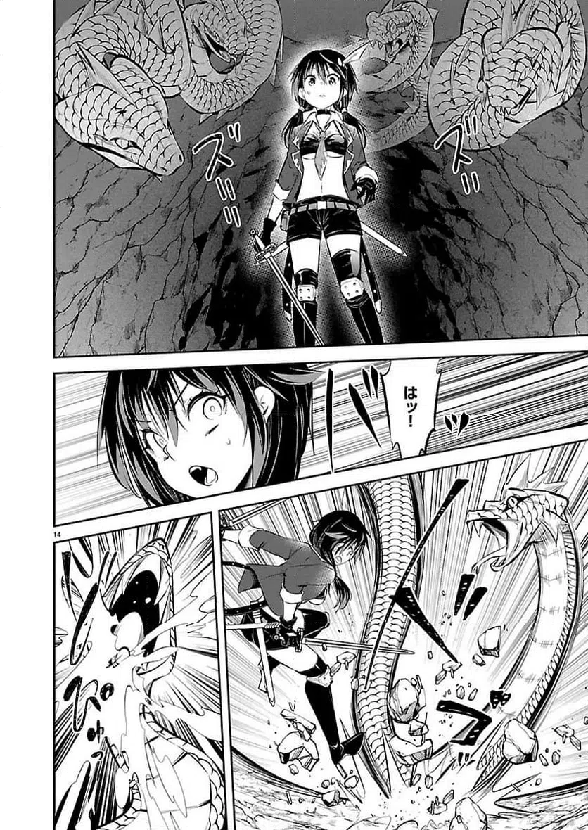 Page 14