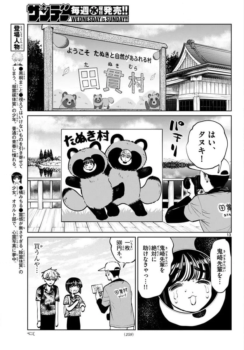Page 13
