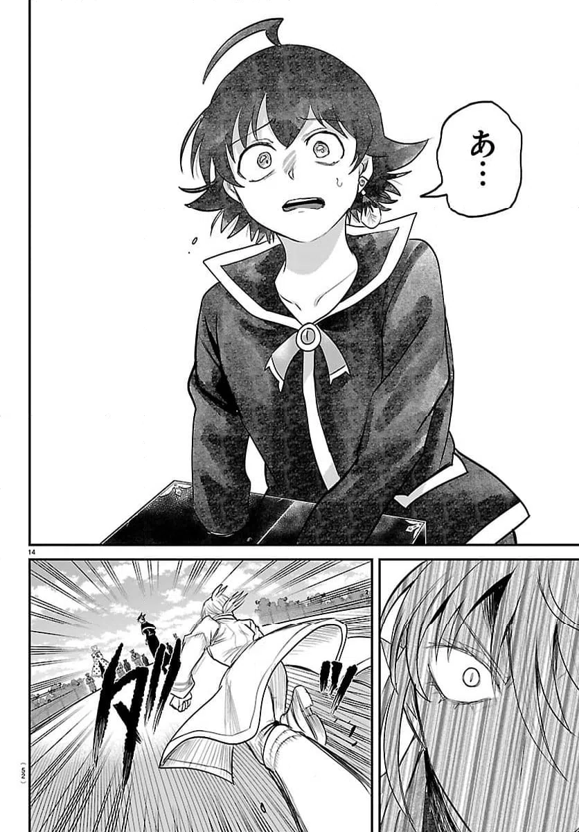 Page 14