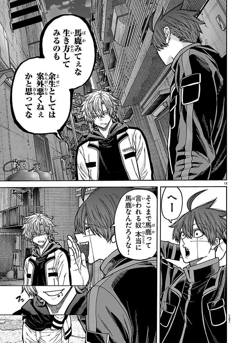 Page 13