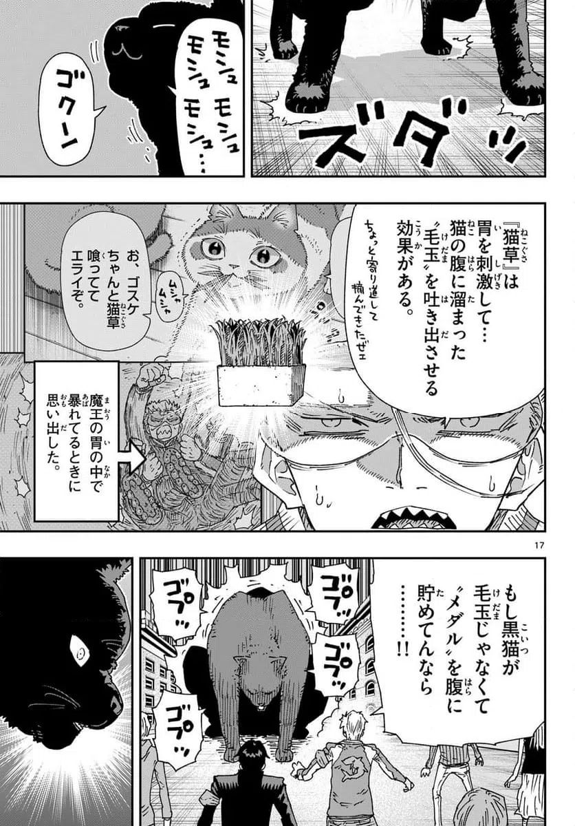Page 17