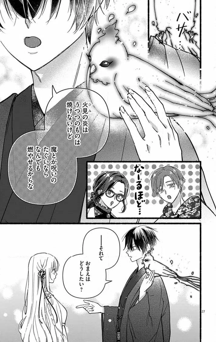 Page 27