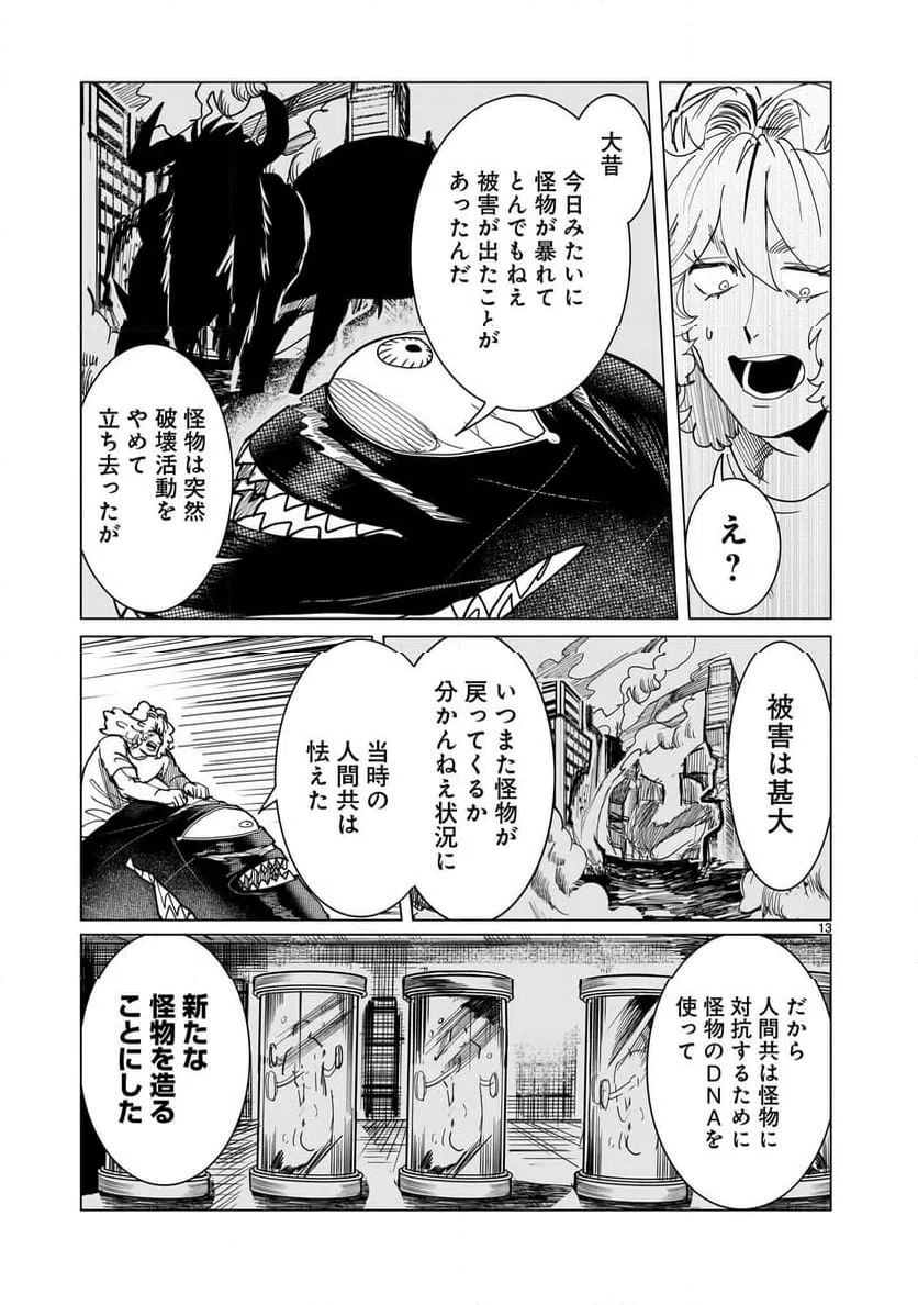 Page 13