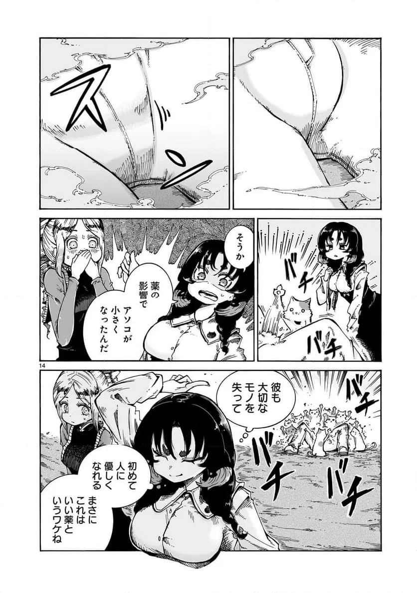 Page 14