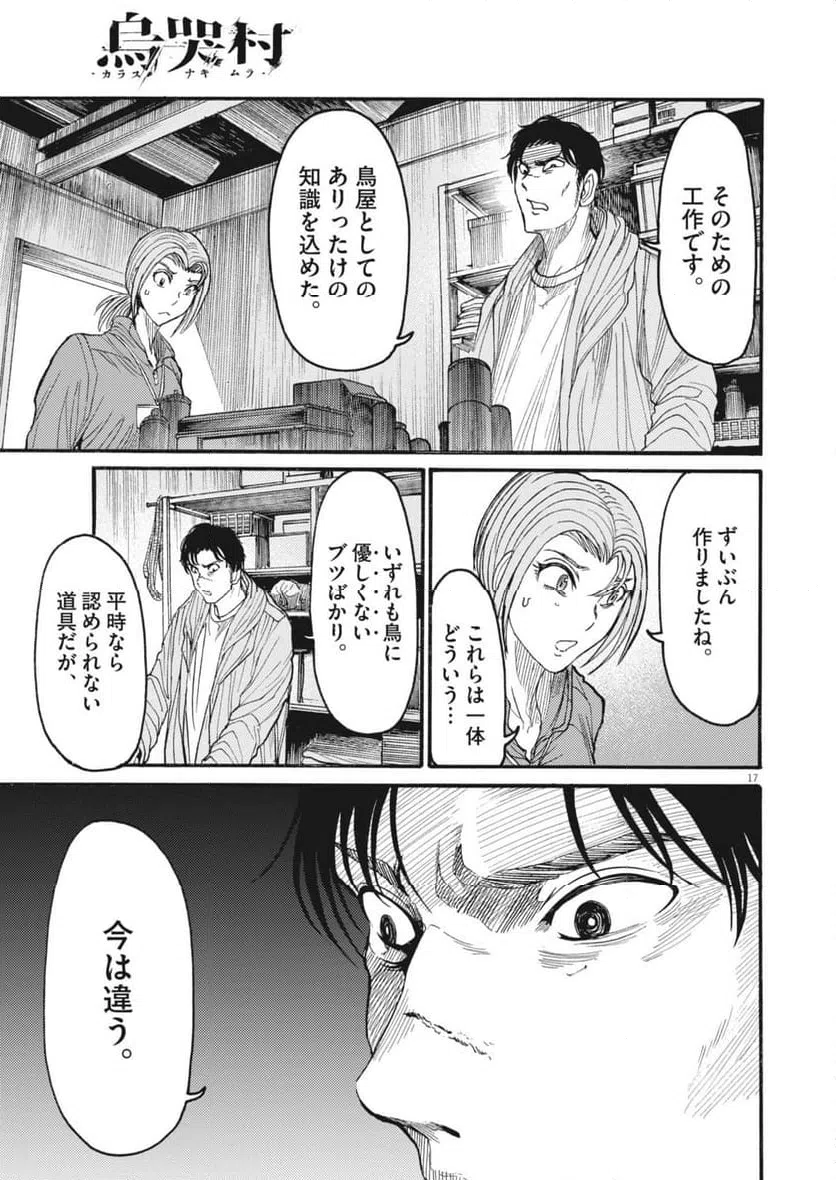 Page 17