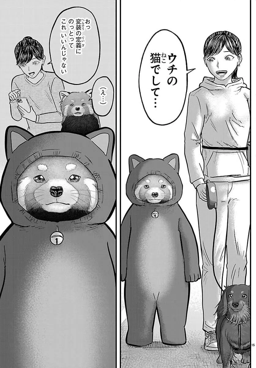 Page 15