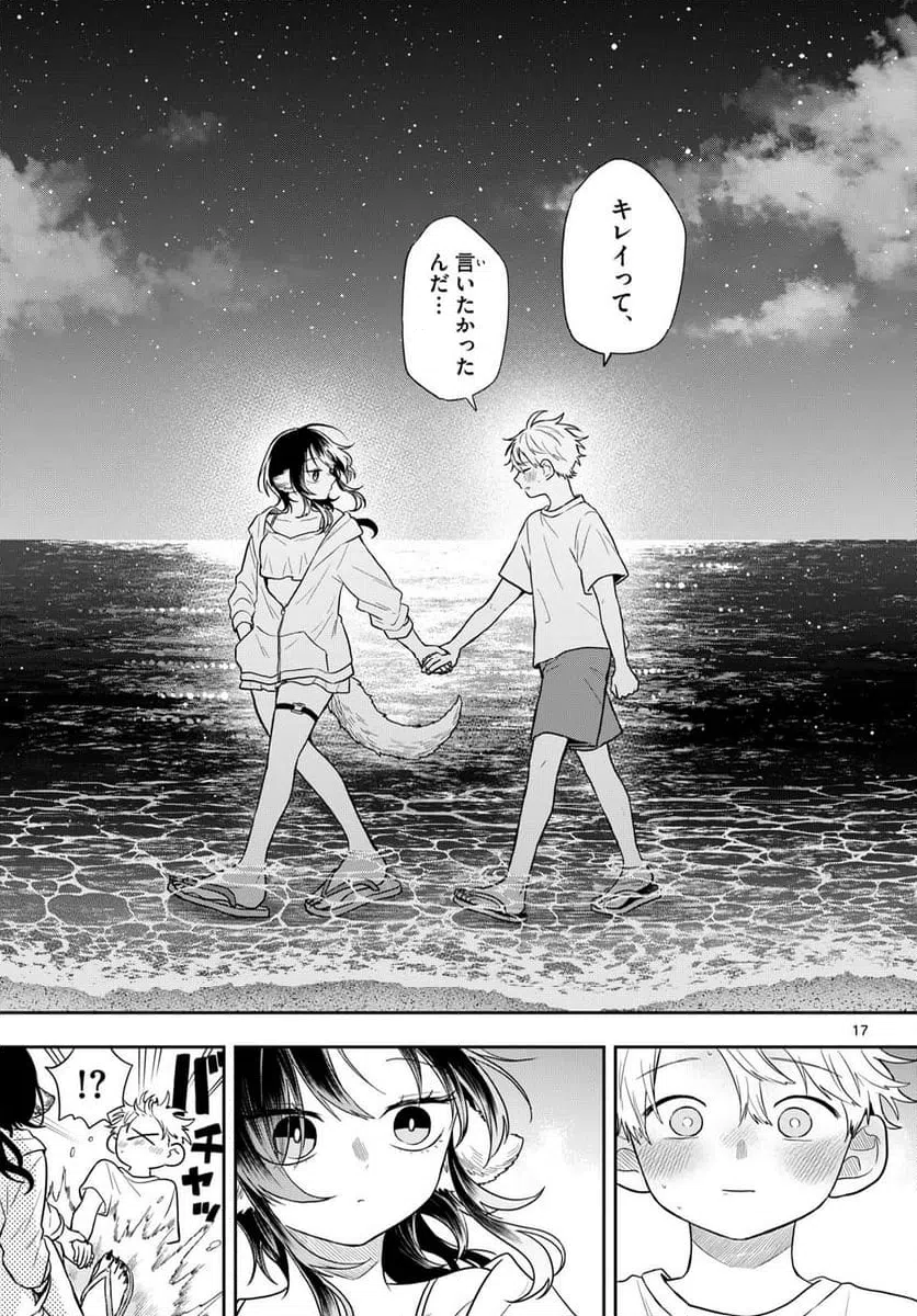 Page 17