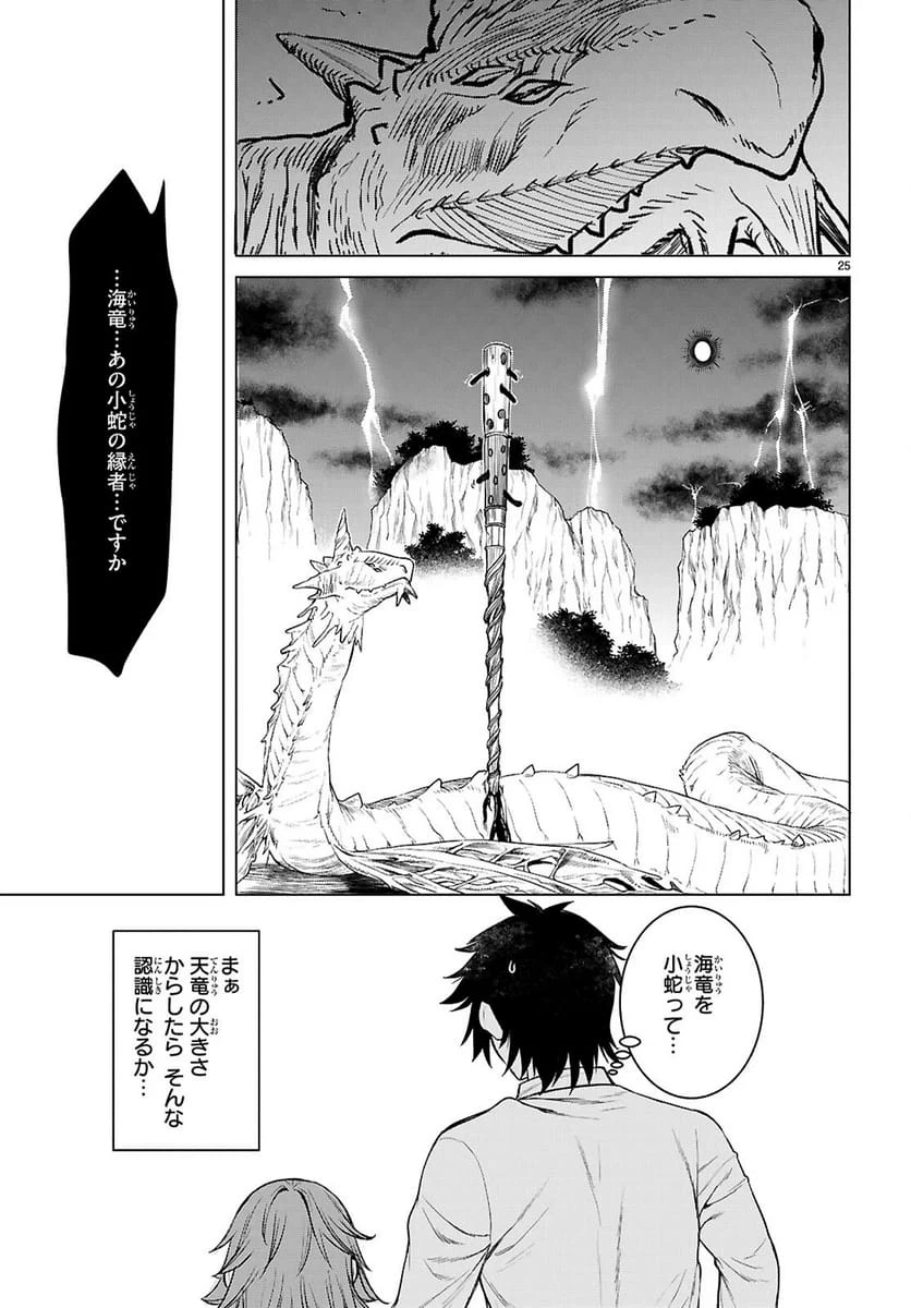Page 25