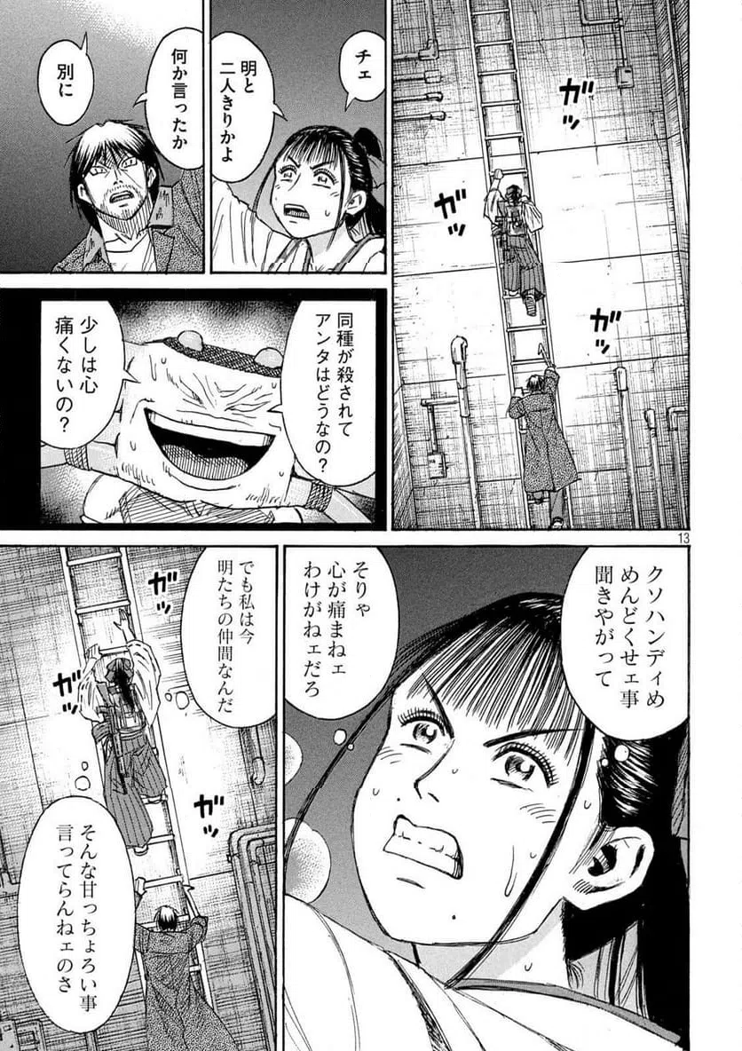Page 13