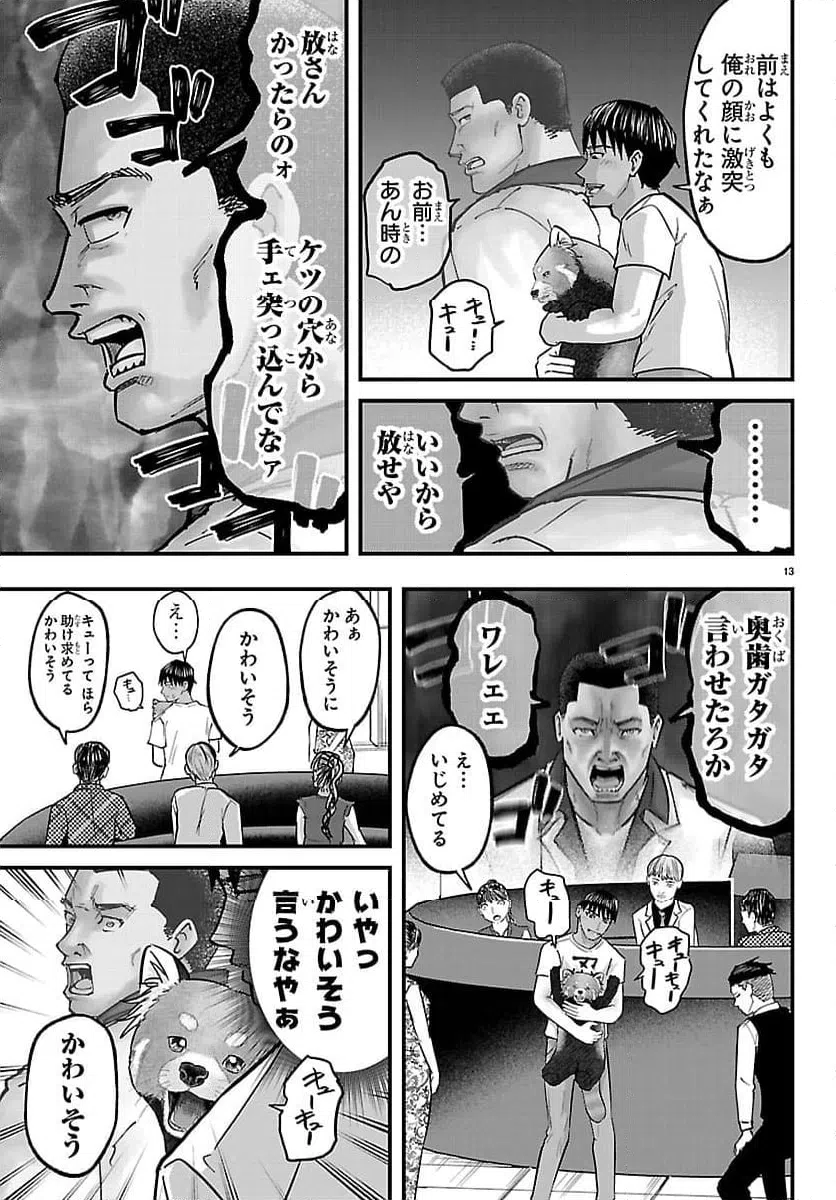 Page 13