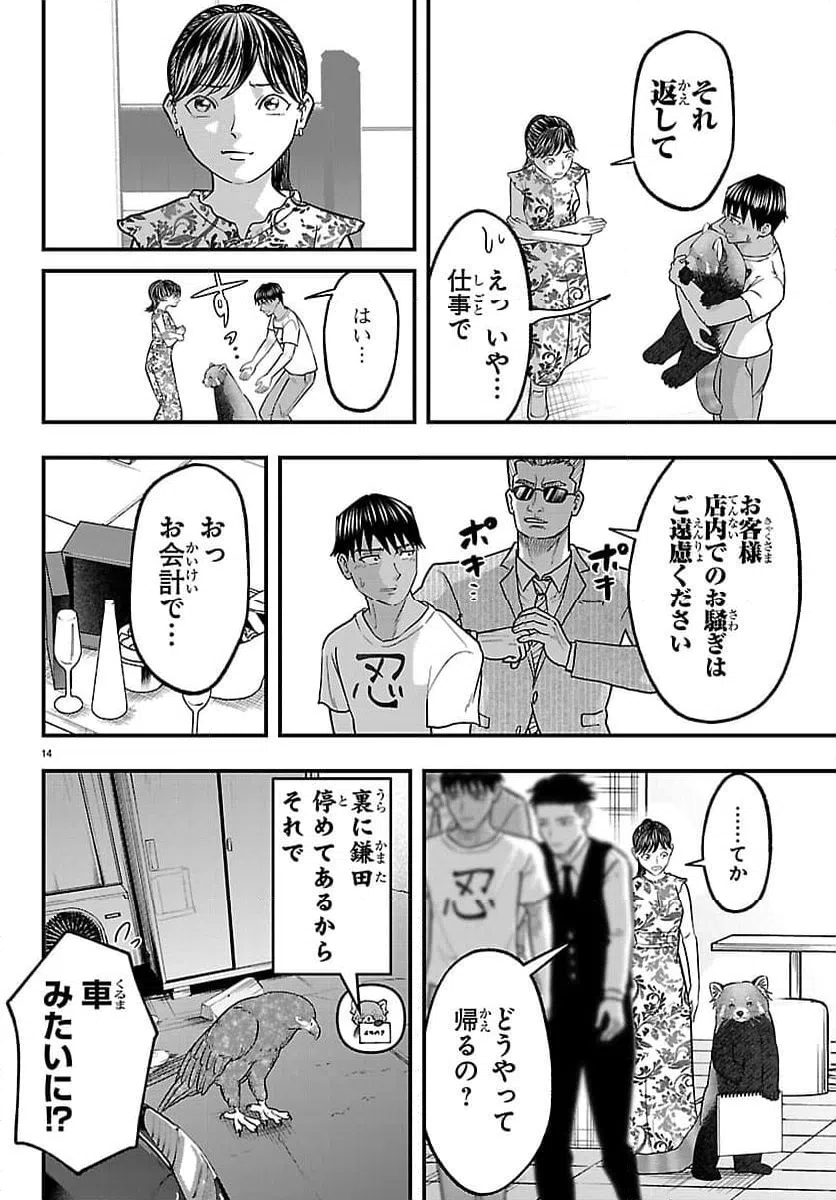 Page 14