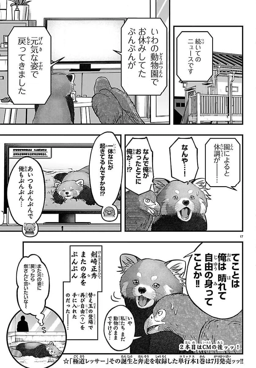 Page 17