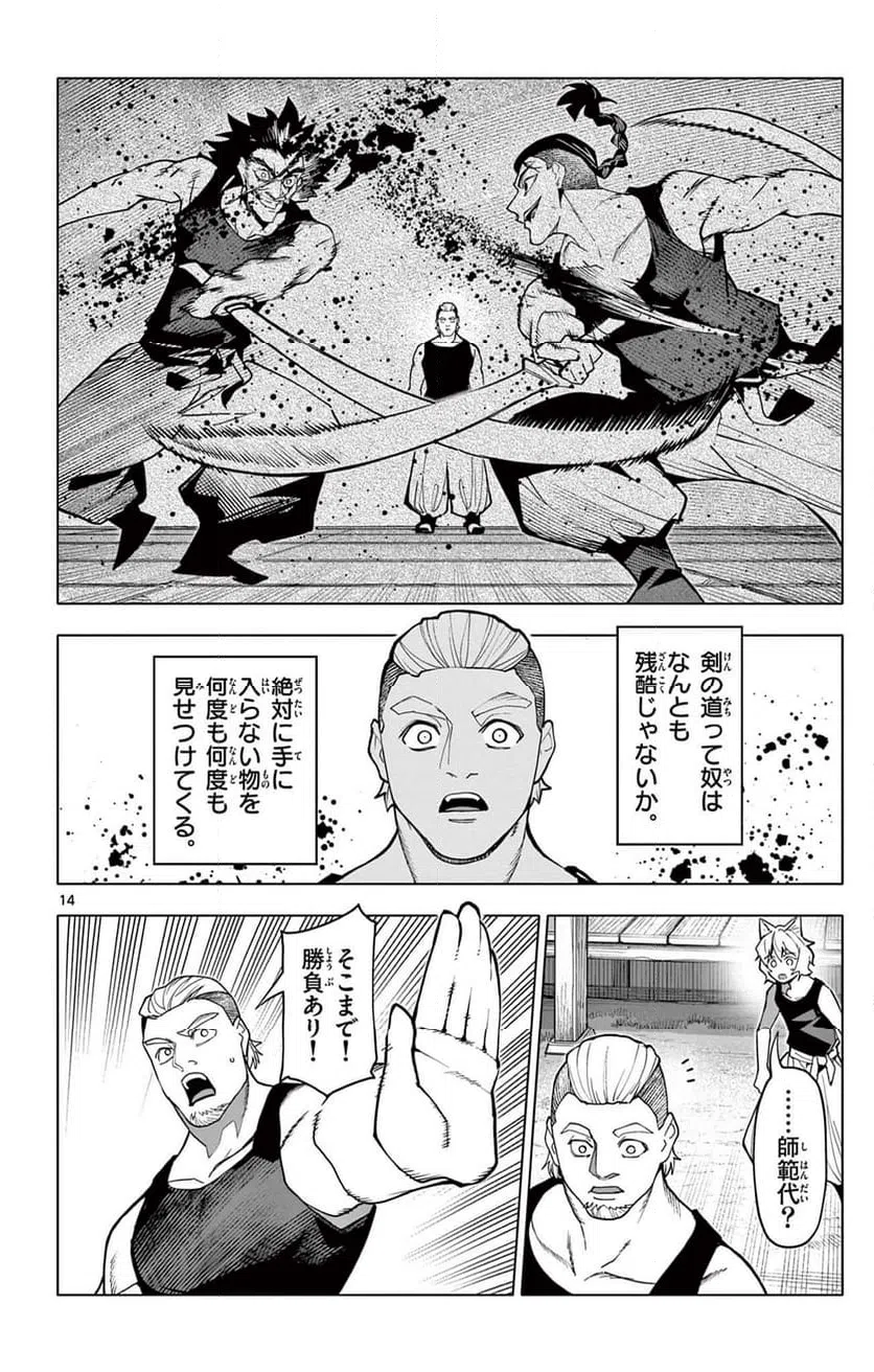 Page 14