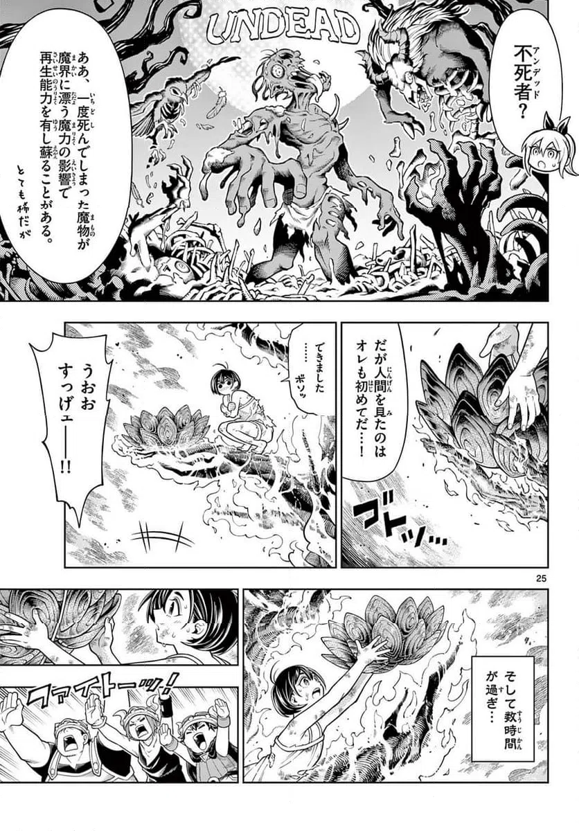 Page 25