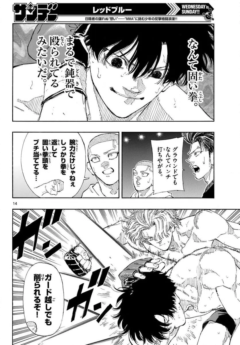 Page 14