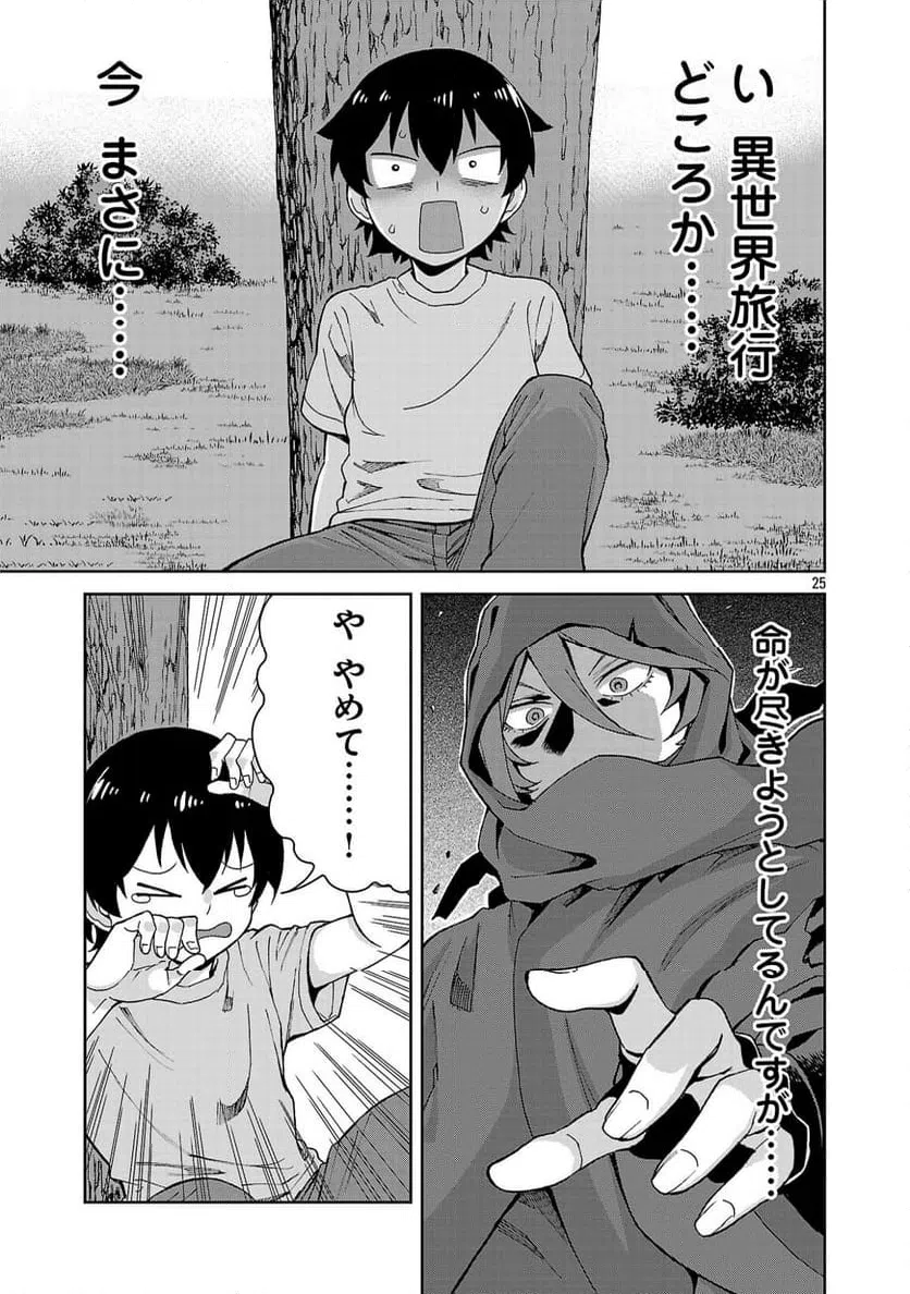 Page 25