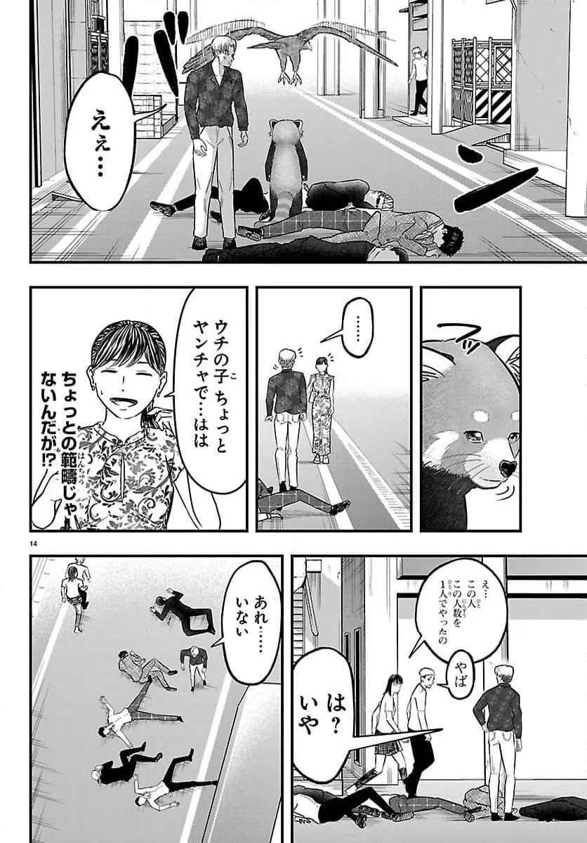 Page 14