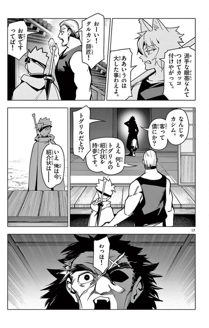 Page 17