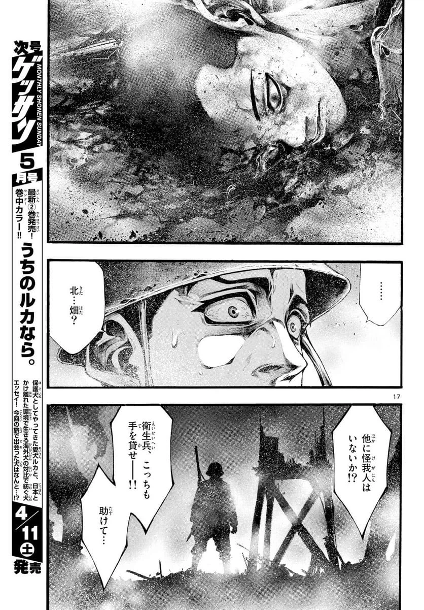 Page 17