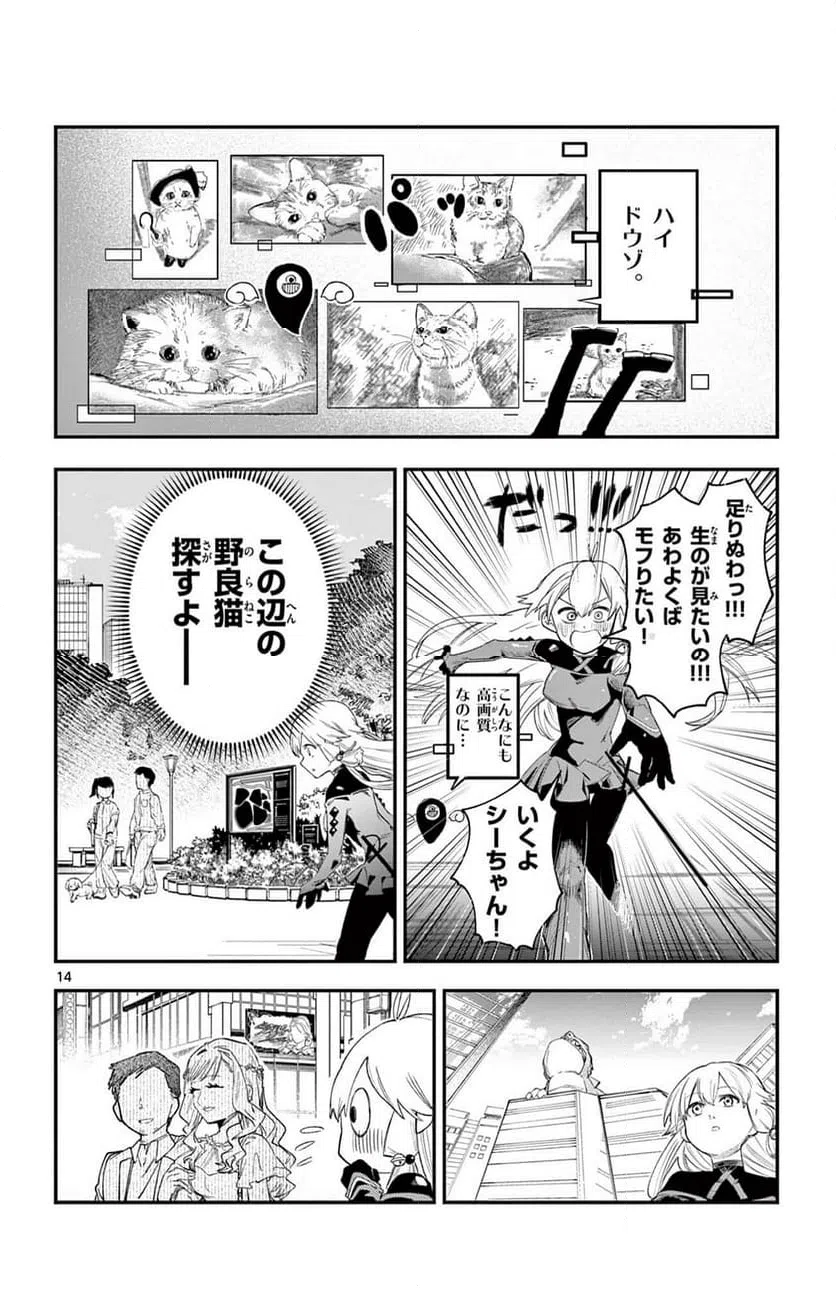 Page 14