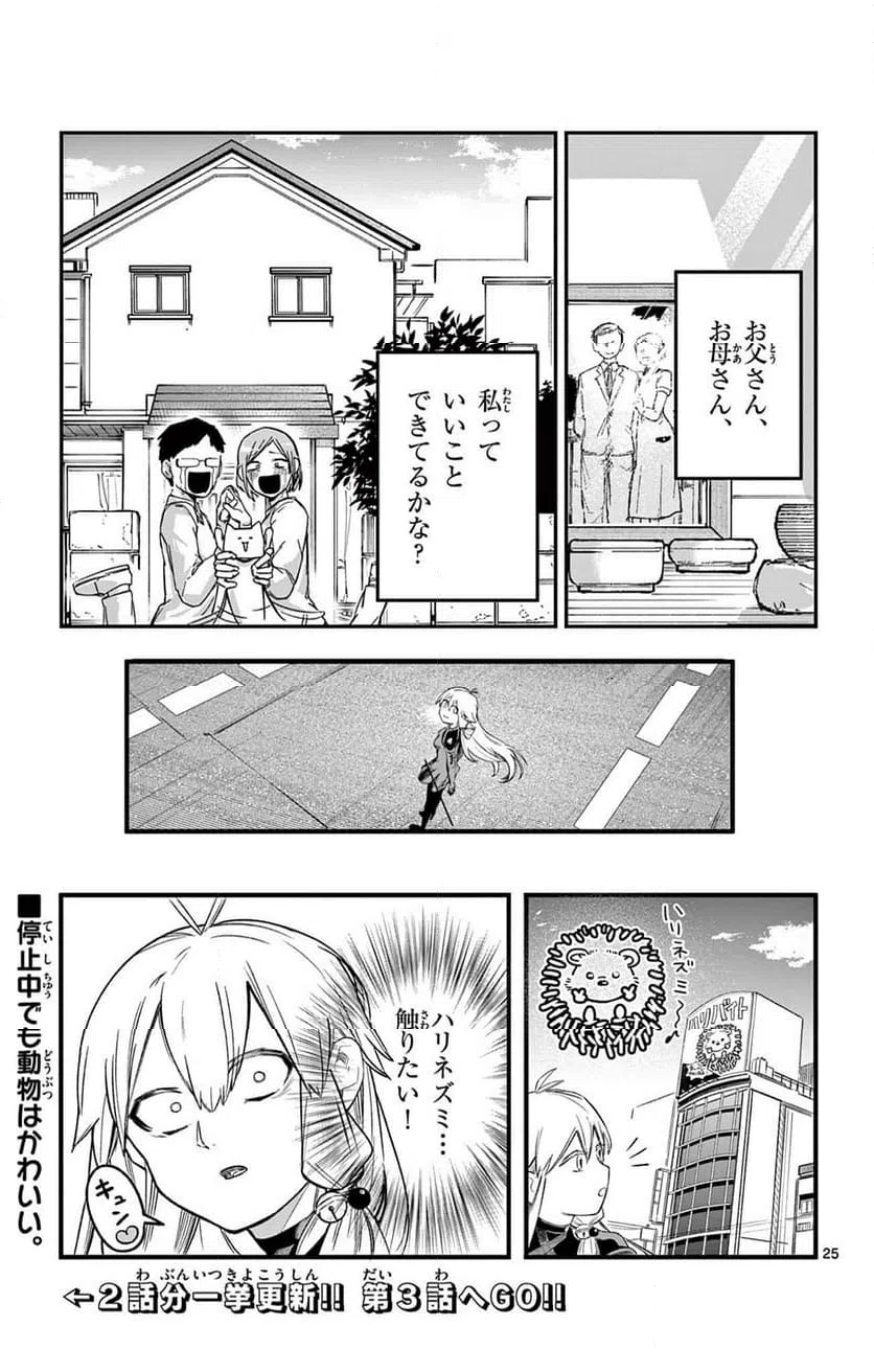Page 25