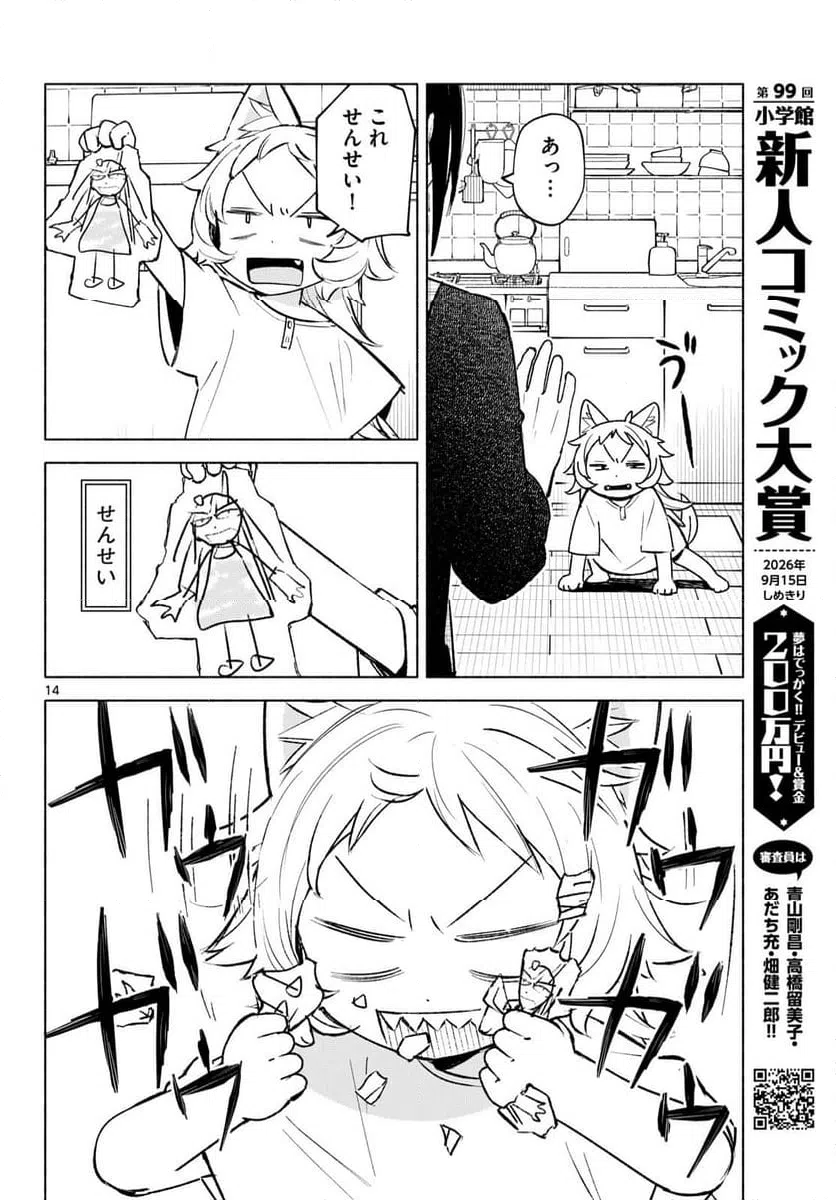 Page 14
