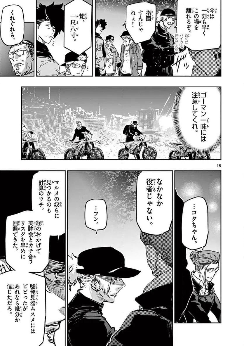 Page 15