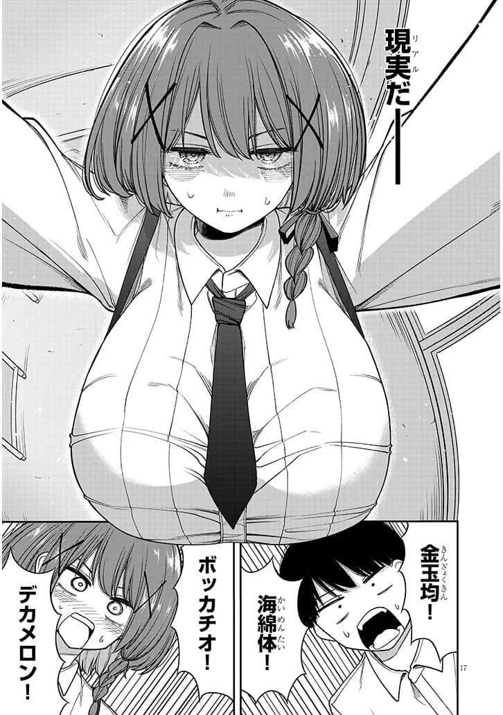 Page 17