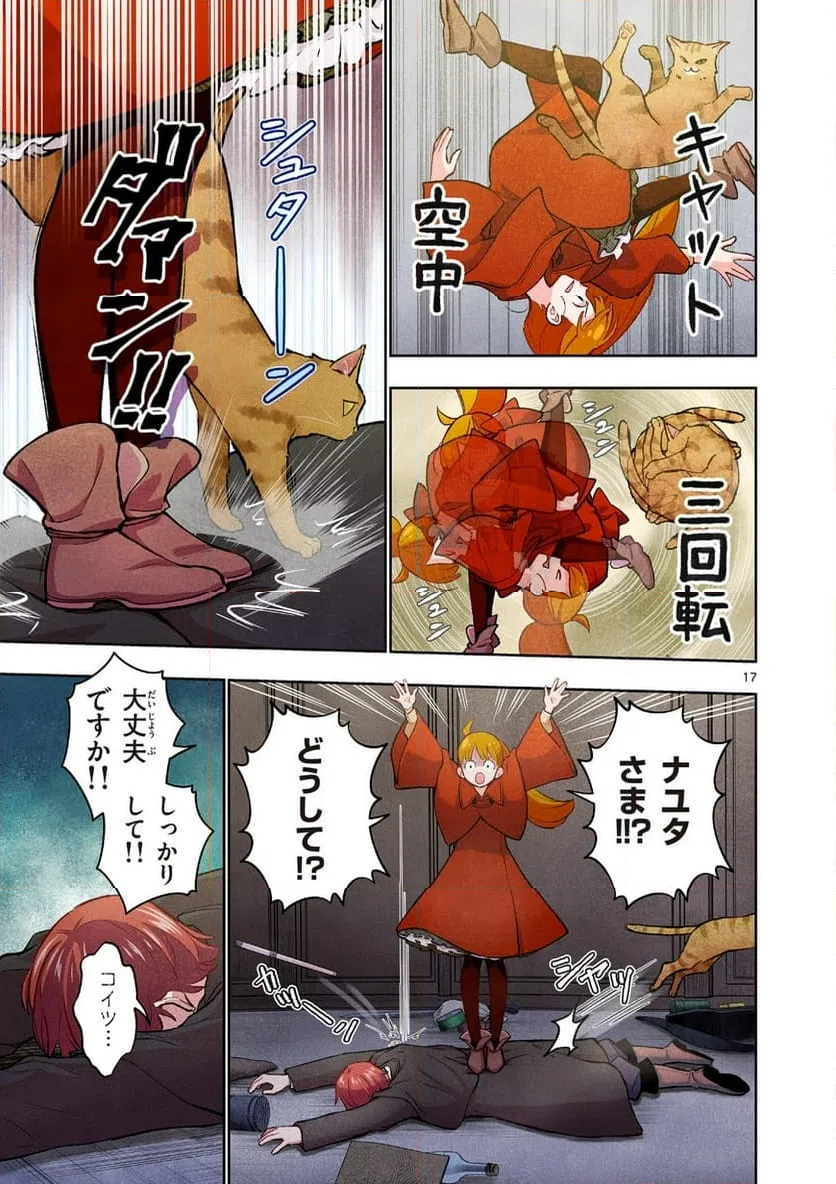 Page 17