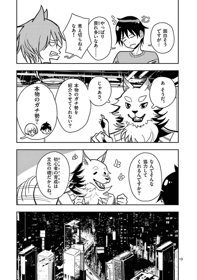 Page 13