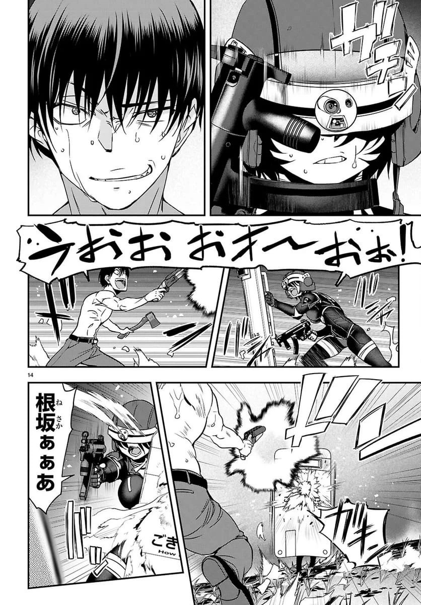 Page 14