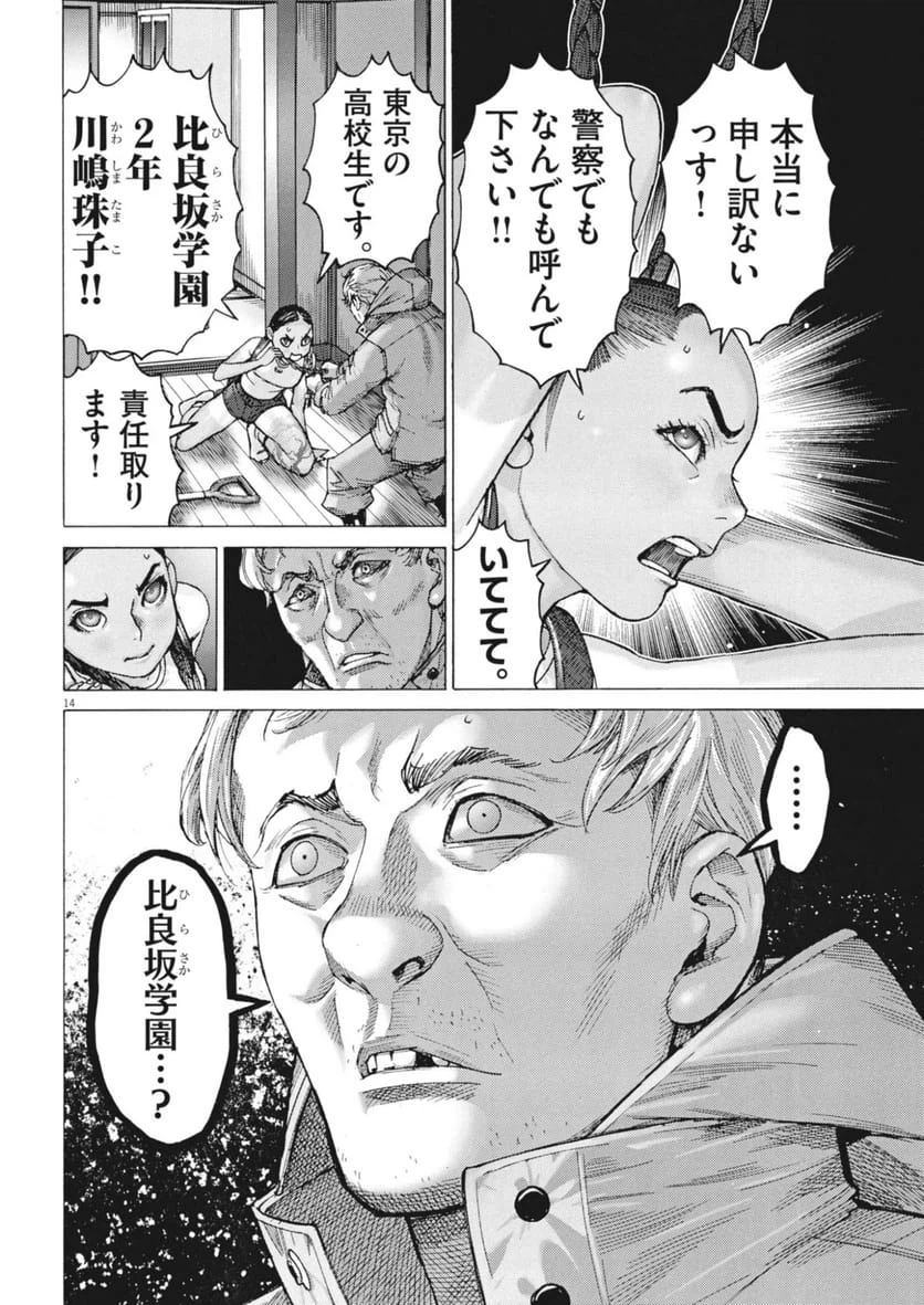 Page 14