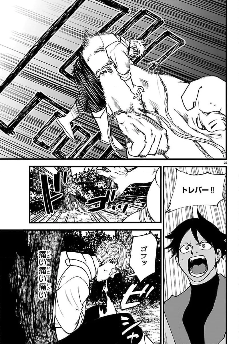 Page 25